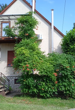 Manyi Apartman