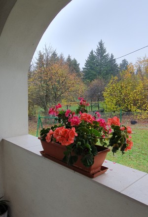 Sziklaszirt Vendégház