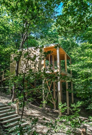TreeHouses