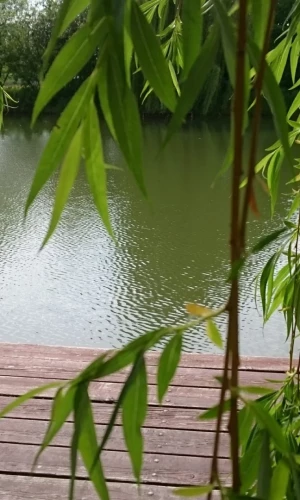 Levendula Apartmanház