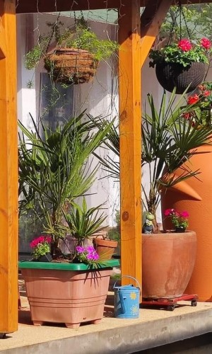 Levendula Stúdió Apartman