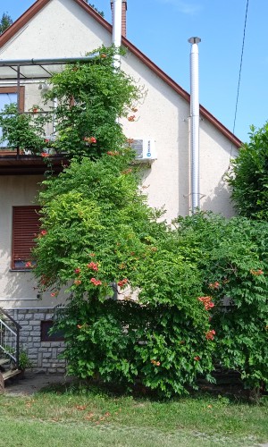 Manyi Apartman