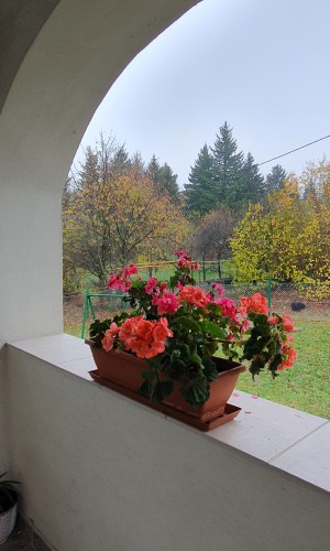 Sziklaszirt Vendégház