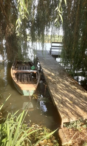 Tücsi-lak